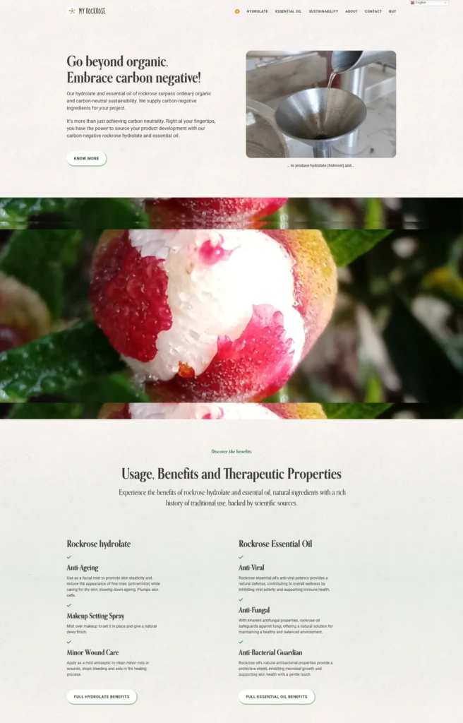 My Rockrose My Rockrose